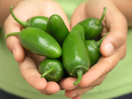 jalepeno_peppers